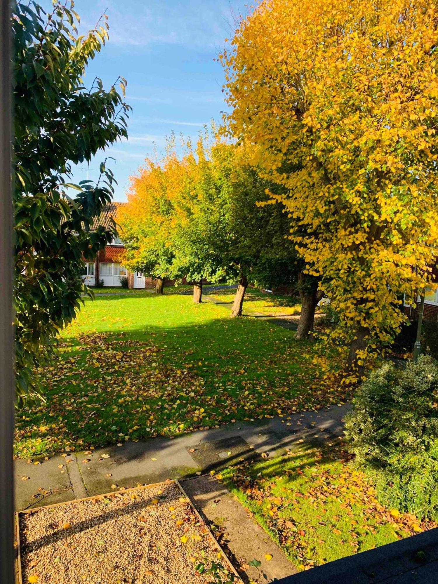 Spacious House, Free Parking & Patio Garden Farnham  Exteriör bild